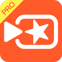 Vivavideo Pro скачать бесплатно на андроид