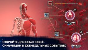 скриншот 1
